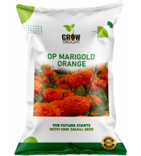 Grow Delight Marigold OP Orange 5 grams